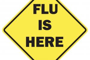 flu is here